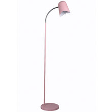 Matte Pastel Iron Floor Lamp