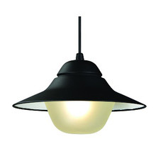 Matte Spy Outdoor Pendant Light