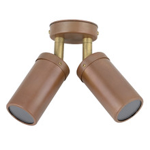 MR16 Adjustable Double Outdoor Ceiling Light