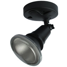 PAR30 Security Light