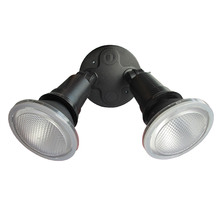 Double PAR30 Security Light