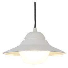 Matte Spy Outdoor Pendant Light