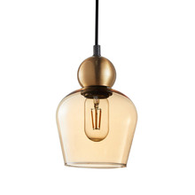 Champan Glass & Iron Pendant Light