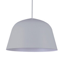 Pastel Iron Pendant Light