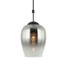 Vinum Glass & Iron Pendant Light