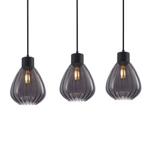 Tulip Glass & Iron 3 Light Pendant
