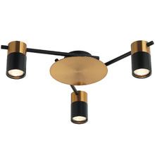 Meira Adjustable 3 Light Spotlight