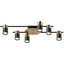 Meira Adjustable 6 Light Spotlight
