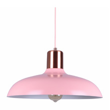 Pastel Iron Pendant Light