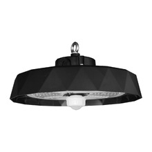 Wren LED High Bay Ceiling Light