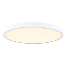 Billie LED Oyster Light