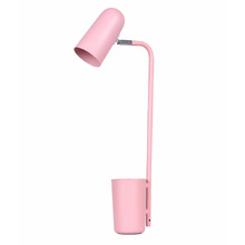 Matte Pastel Iron Desk Lamp