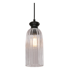 Nakoa Iron & Glass Pendant Light