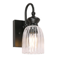 Nakoa Iron & Glass Wall Light
