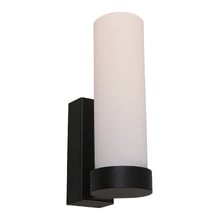 Nyra Iron & Glass Wall Light