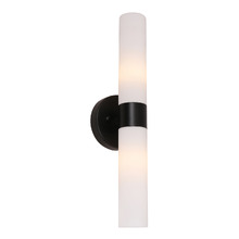 Nyra Iron & Glass Up/Down Wall Light