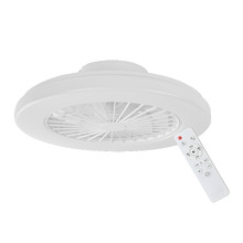 Zelvion Ceiling Fan with Light