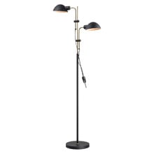Aeryx Adjustable 2-Light Floor Lamp