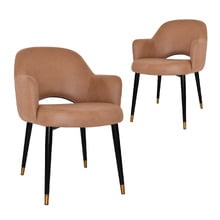 Lex Upholstered Dining Chairs with Brass Accent (Set of 2)