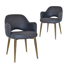 Lex Upholstered Dining Chairs with Brass Legs (Set of 2)