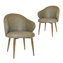 Scranton Upholstered Dining Chairs with Brass Legs (Set of 2)