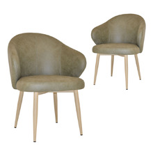 Scranton Upholstered Dining Chairs (Set of 2)