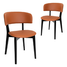 Damon Faux Leather Dining Chairs (Set of 2)