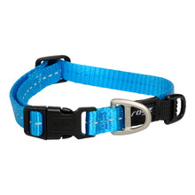 Turquoise Classic Collar