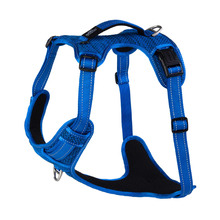 Blue Specialty Explore Harness