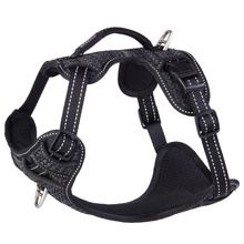 Black Specialty Explore Harness