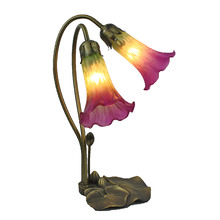 Lily Frosted Glass Gooseneck 2 Light Table Lamp