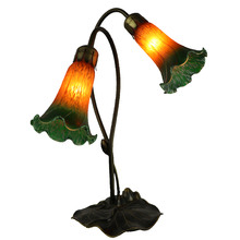 Lily Frosted Glass Gooseneck 2 Light Table Lamp