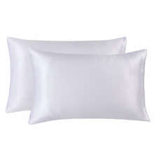 Mulberry Silk Standard Pillowcases (Set of 2)