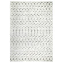Grey Delicate Modern Rug