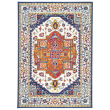 Multi-Coloured Delicate Oriental Rug