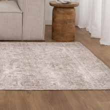 Malia Distressed Transitional Rug
