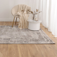 Nassa Distressed Bordered Rug