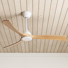 Fanco Sanctuary DC 132cm Ceiling Fan with Remote Control