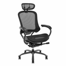 Rein Ergonomic Executive Office Chair