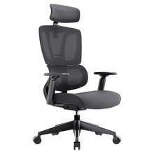 Coen High-Back Ergonomic Office Chair