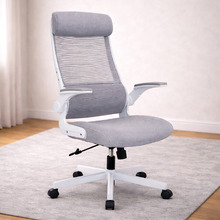 Eagnah Mesh Office Chair