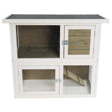 White Cavy Hutch