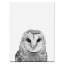 Barn Owl Printed Wall Art