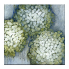 Blueberry Appletini Printed Wall Art