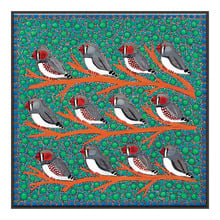 Zebra Finches Printed Wall Art