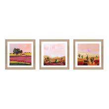 Desert Dreams Framed Paper Print Wall Art Triptych