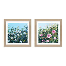 Garden Petals Framed Paper Print Wall Art Diptych