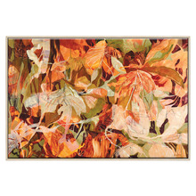 Butterfly Garden Canvas Wall Art