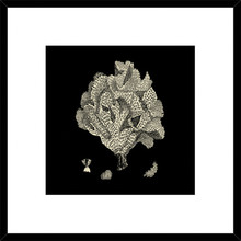 Black & Tan Coral IV Framed Print