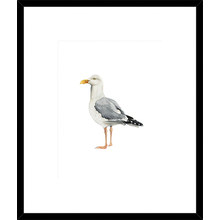 Sea Bird II Framed Print